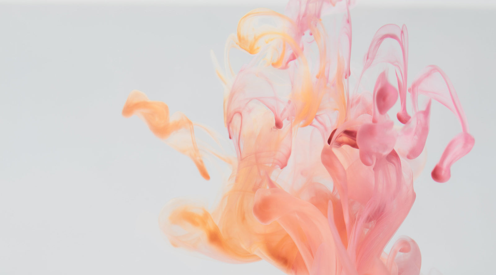 Pink and orange ink drops on grey background | Nikki Darling Australia