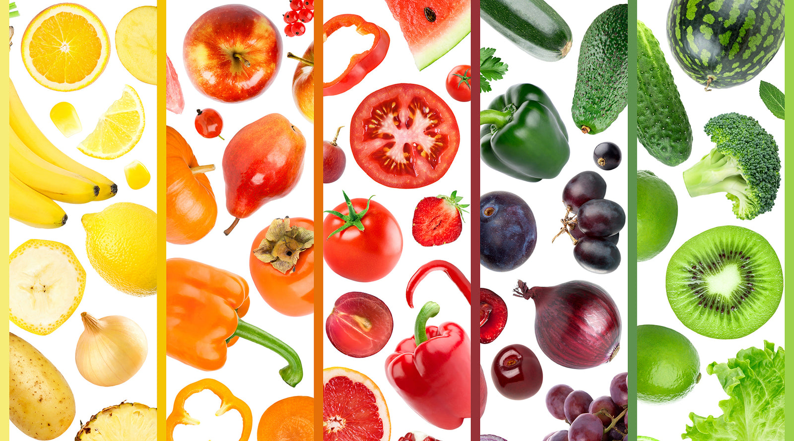 World Vegan Day Melbourne & Nikki Darling Team Up!